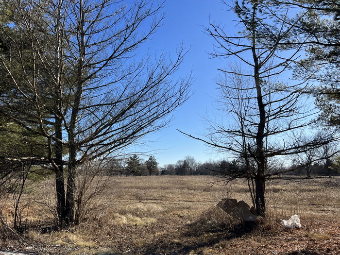 Romeo Golf & Country Club - Course And Cart Path Jan 14 2023